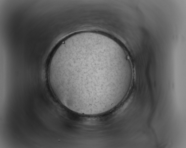 X0000092051501200710031033