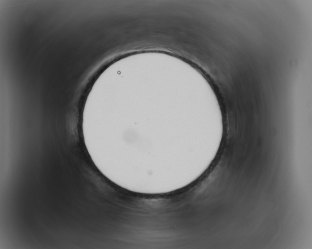 X0000092051502200710031033