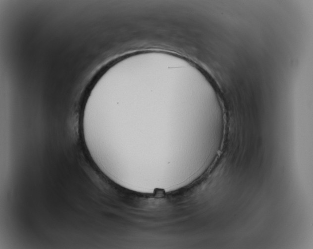 X0000092051503200710031033