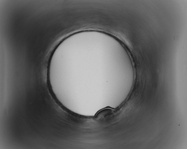 X0000092051504200710031033