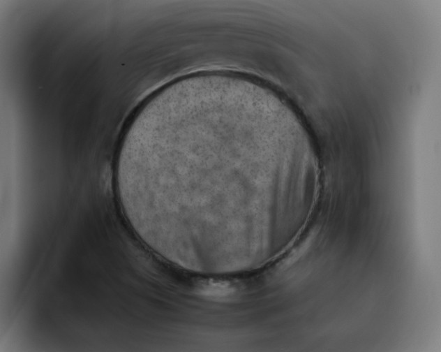 X0000092051505200710031033