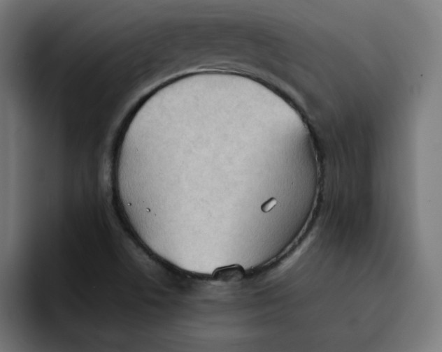 X0000092051506200710031033