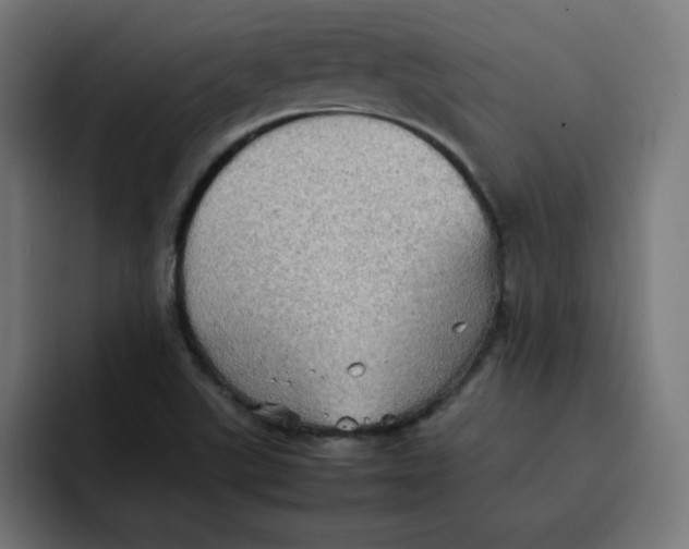 X0000092051507200710031033