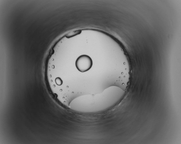 X0000092051508200710031033