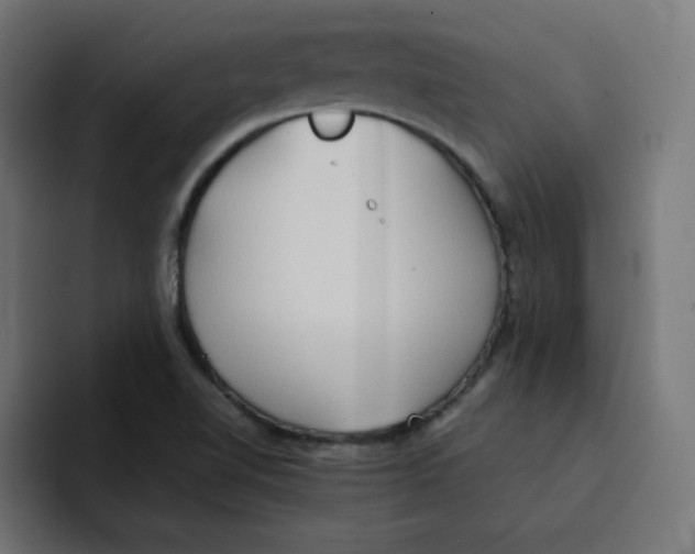 X0000092051510200710031033