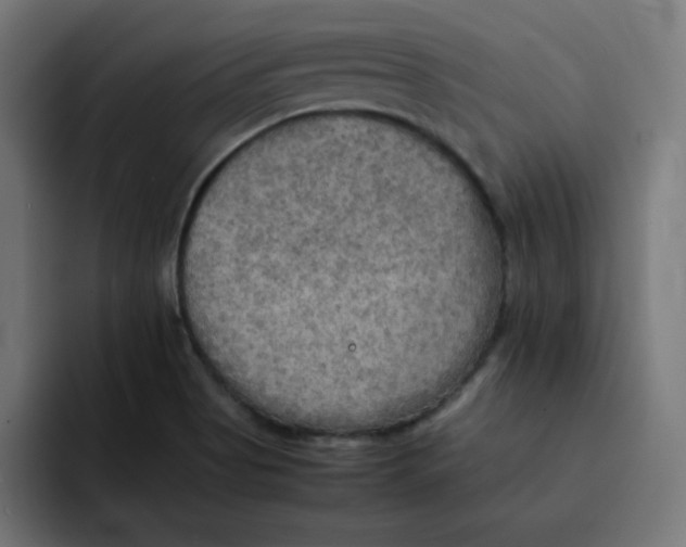 X0000092051513200710031033