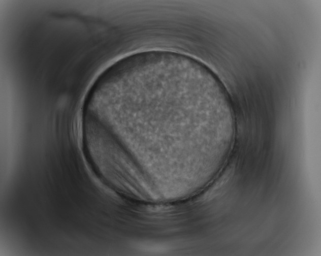 X0000092051515200710031033