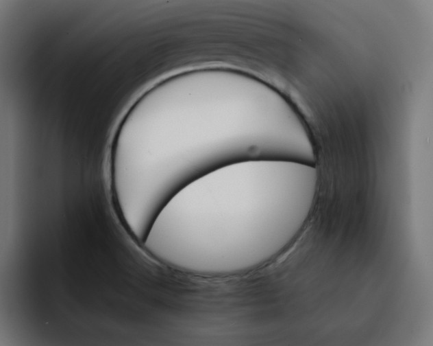 X0000092051516200710031033