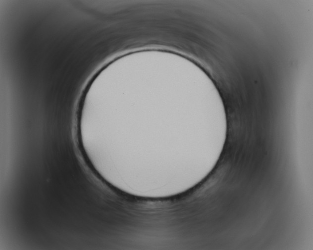 X0000092051518200710031033