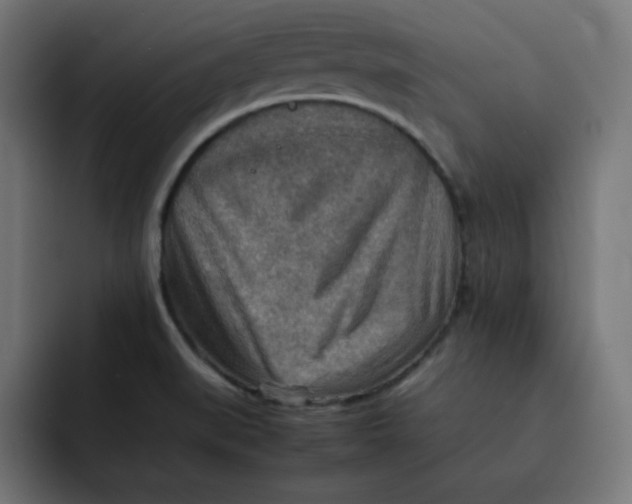 X0000092051519200710031033