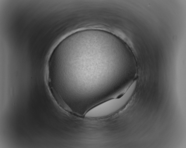 X0000092051520200710031033