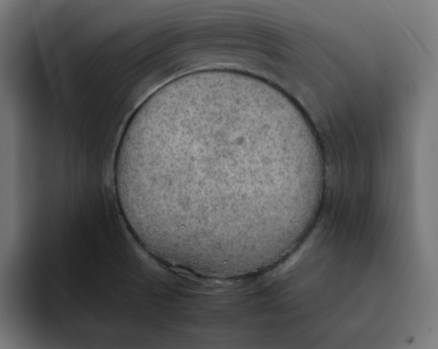 X0000092051521200710031033