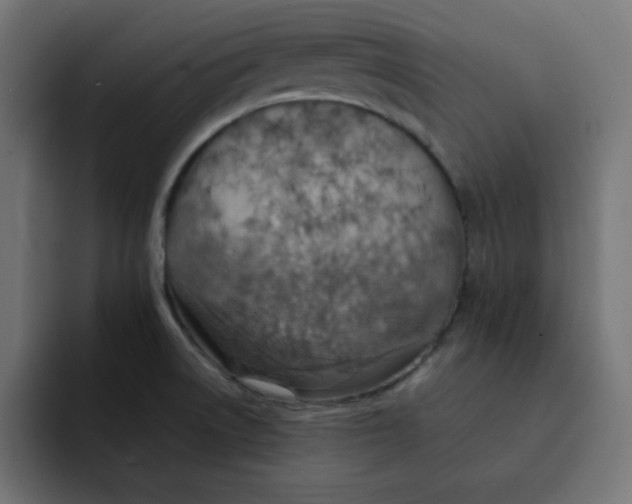 X0000092051522200710031033