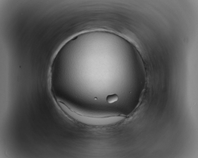 X0000092051524200710031033