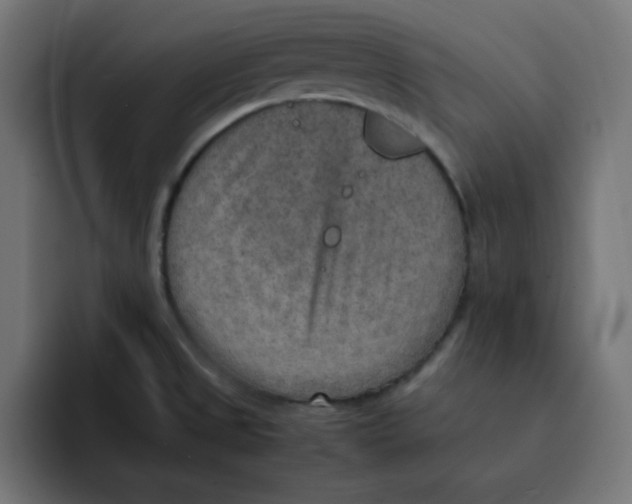 X0000092051525200710031033