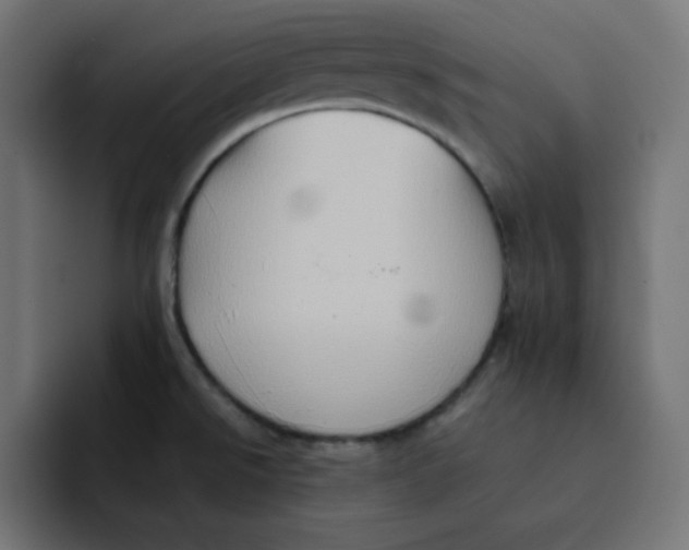 X0000092051526200710031033