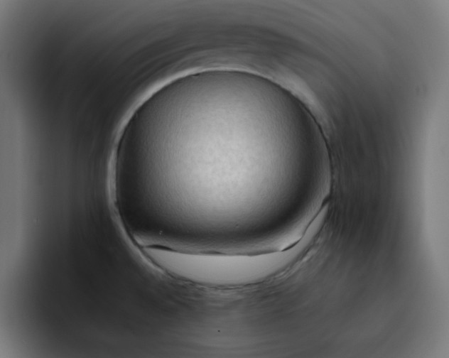 X0000092051528200710031033