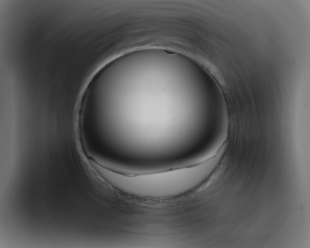 X0000092051530200710031033