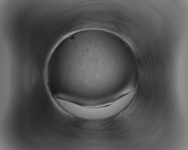 X0000092051531200710031033