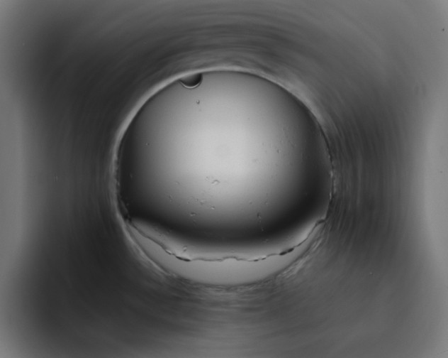 X0000092051532200710031033