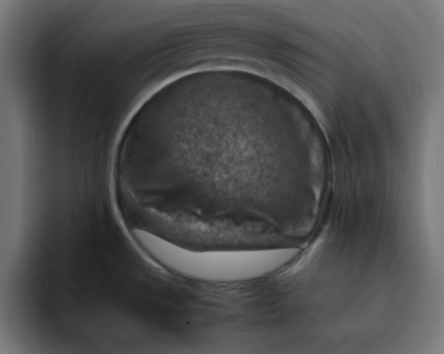 X0000092051533200710031033