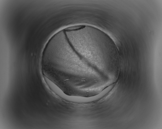 X0000092051534200710031033