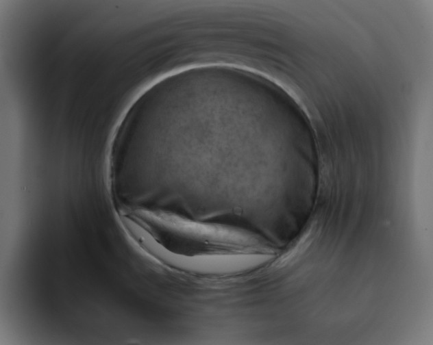 X0000092051535200710031033