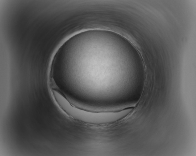 X0000092051536200710031033