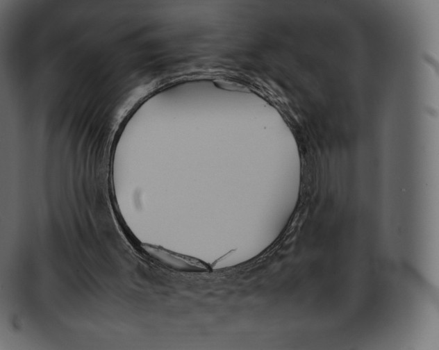 X0000092050003200710101024