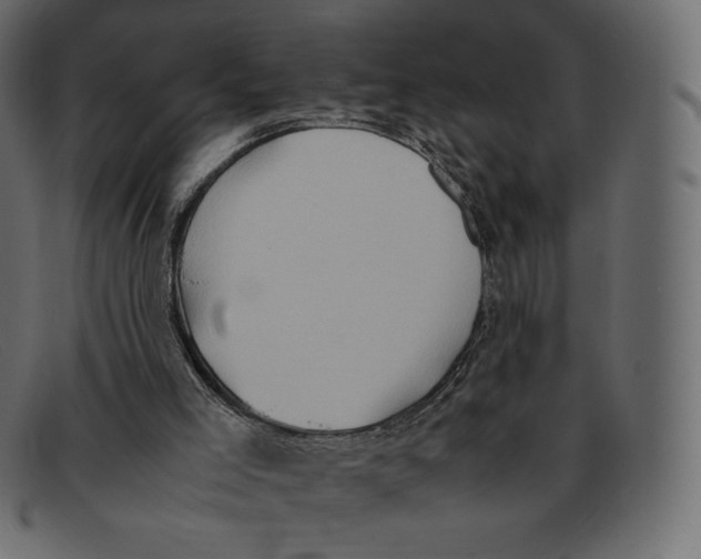 X0000092050005200710101024