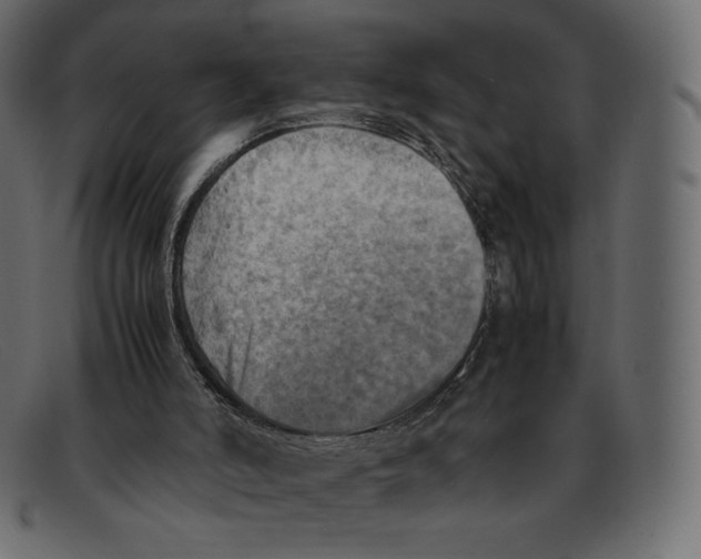 X0000092050006200710101024