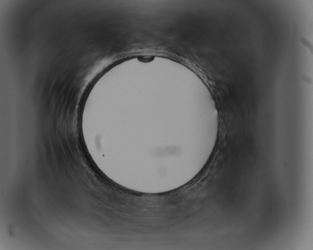 X0000092050008200710101024