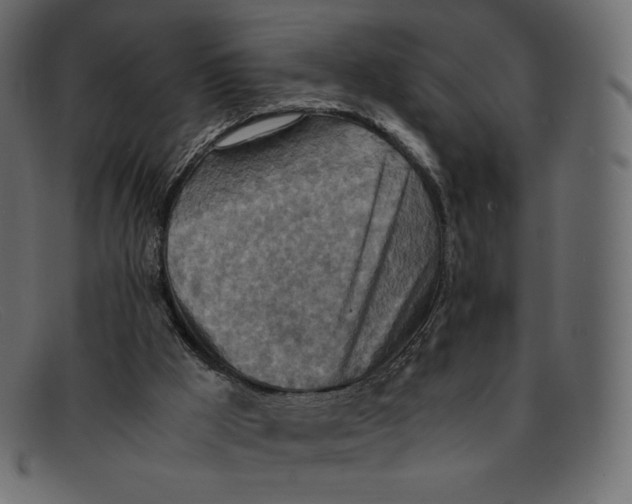 X0000092050009200710101024