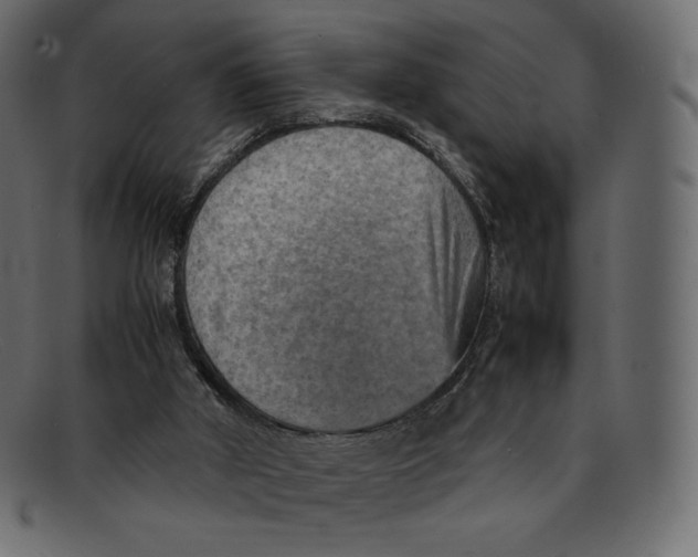 X0000092050010200710101024