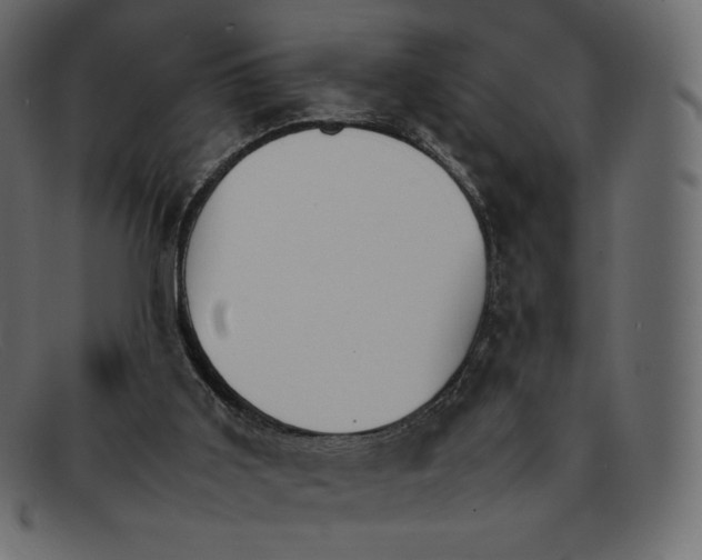 X0000092050011200710101024