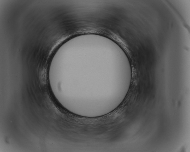 X0000092050012200710101024