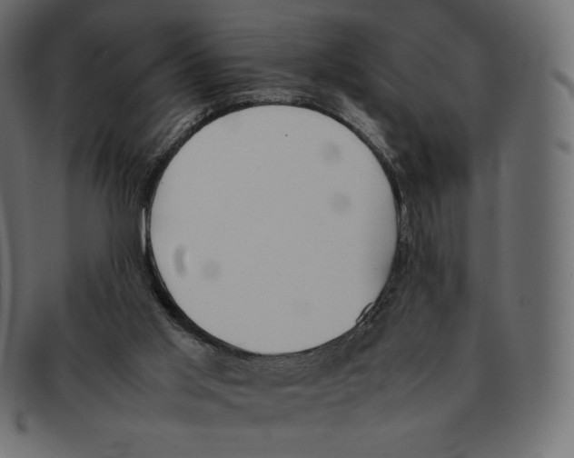 X0000092050013200710101024