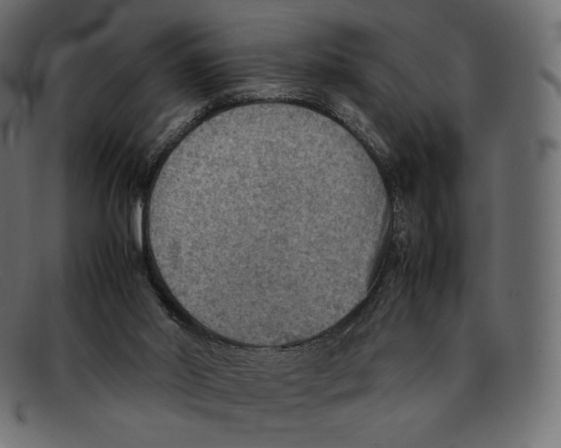 X0000092050014200710101024