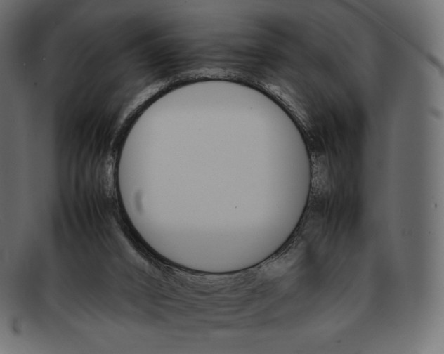 X0000092050016200710101024