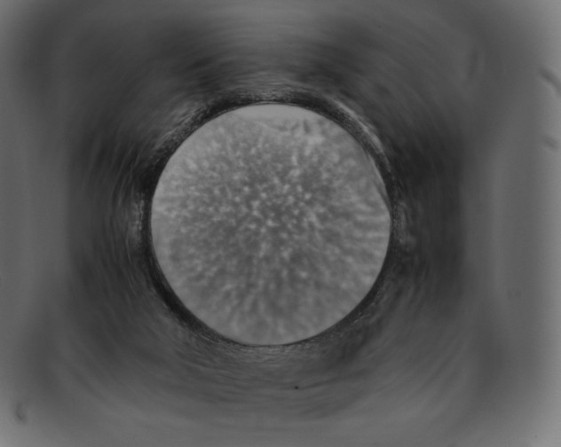 X0000092050018200710101024