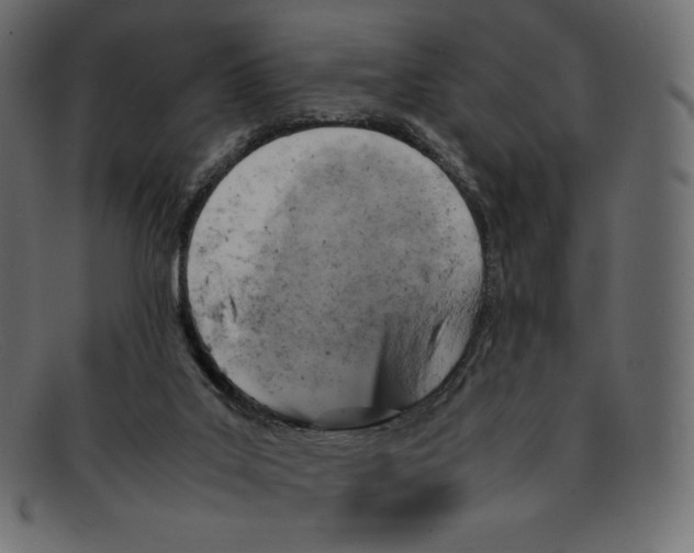 X0000092050019200710101024