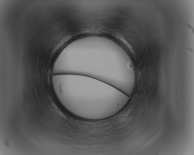 X0000092050020200710101024