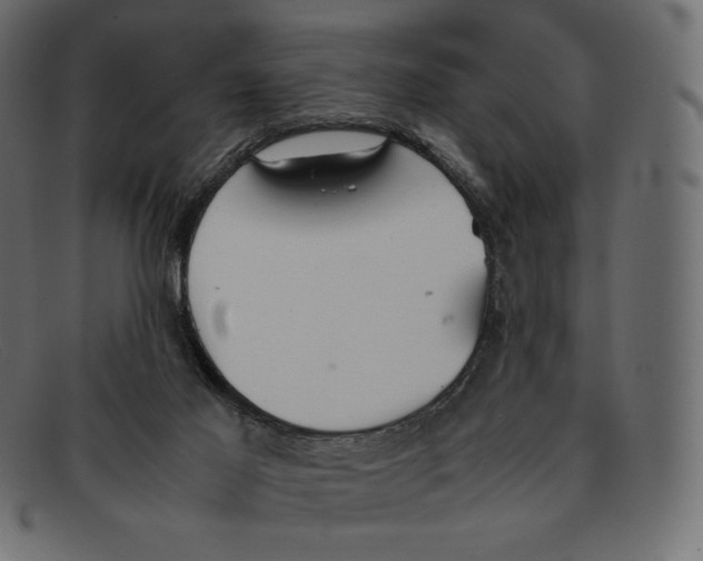 X0000092050021200710101024