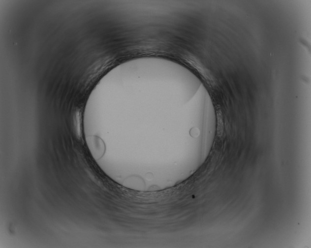 X0000092050022200710101024