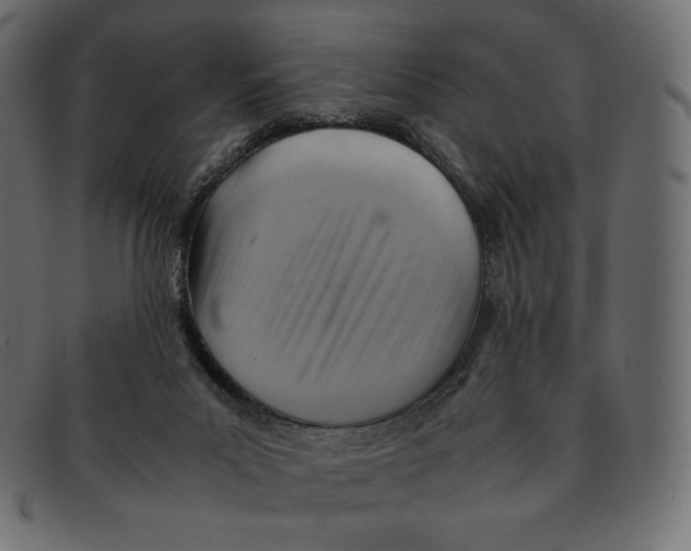 X0000092050023200710101024