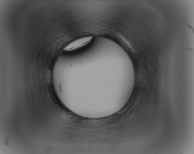 X0000092050025200710101024