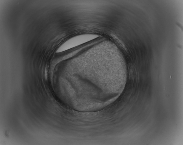 X0000092050026200710101024