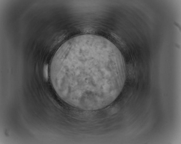 X0000092050028200710101024