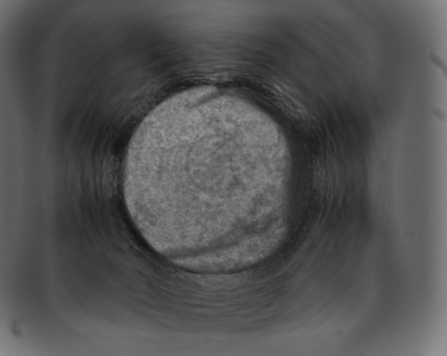 X0000092050030200710101024