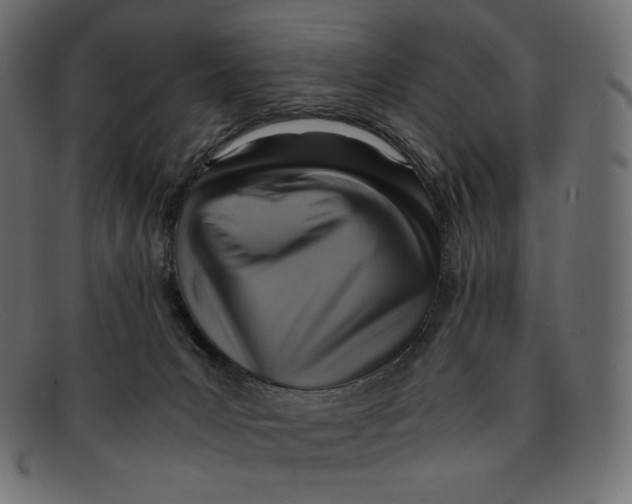 X0000092050031200710101024